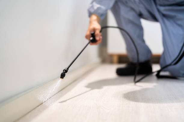 Licensed Rodent Control service in Cedar Point, NC - Nex Pest Control